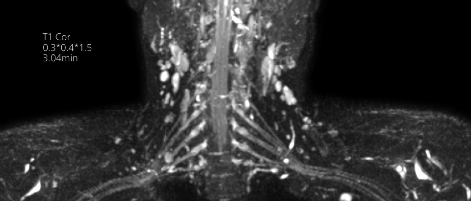 Qualitativ hochwertige Diagnosen