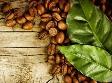 Kaffeebohnen aus biologischem Anbau