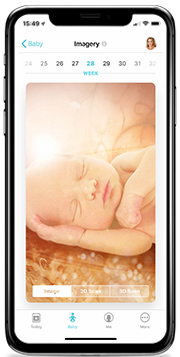 Philips Avent Schwangerschaft+ App