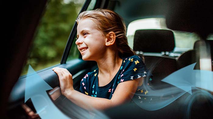 Luftreiniger fürs Auto