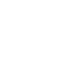 Video-Symbol