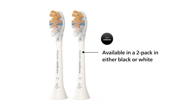 Zwei Philips Sonicare All-in-One Bürstenköpfe