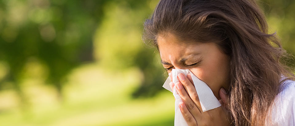 Allergene zu Hause – Pollenarten und wann sie auftreten