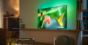 MiniLED TVs mit Perfect Picture Engine – Mobile