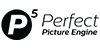 Perfect Picture Engine – kleines Logo