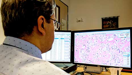 Marienhospital Stuttgart und Philips nehmen digitale Pathologie in Betrieb