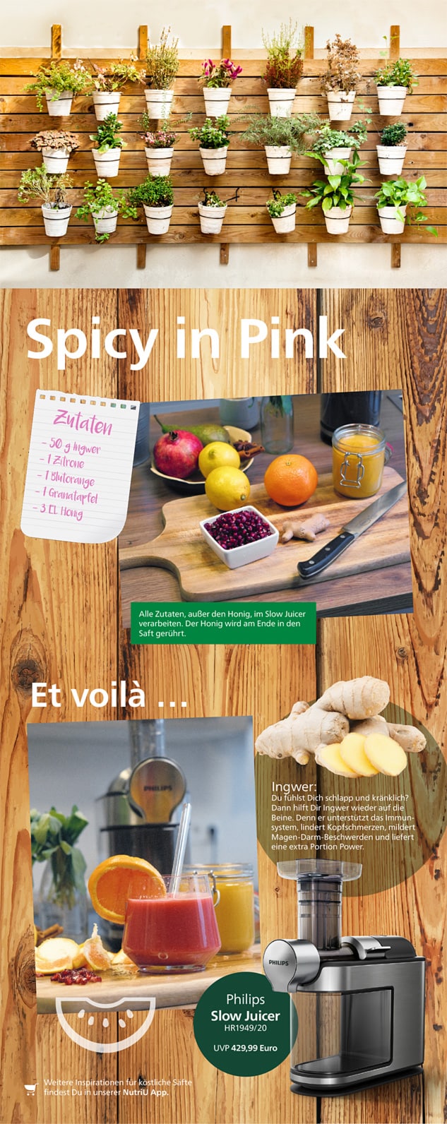 Philips DA Themensheet - Spicy in Pink download pdf