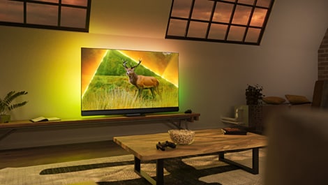 Philips MiniLED-TV 9308