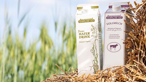 Haferdrink und Kuhmilch: Teamplayer statt Gegenspieler
