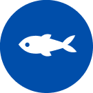 Symbol für Fisch